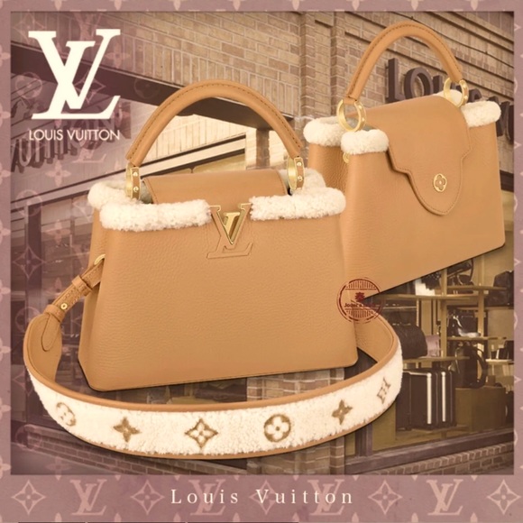 Limited Edition Louis Vuitton Capucines BB Bag - Picture 2 of 10